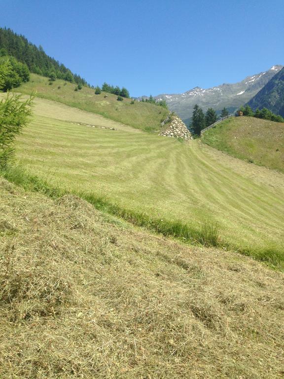 Ogghof 222