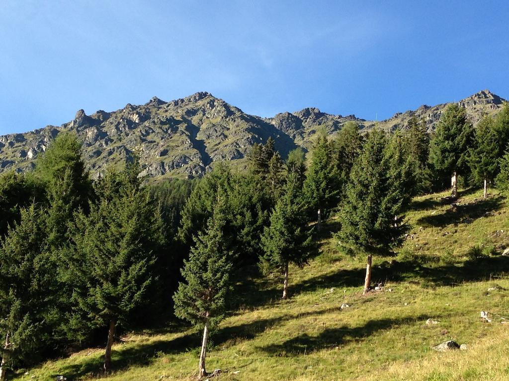Ogghof 222